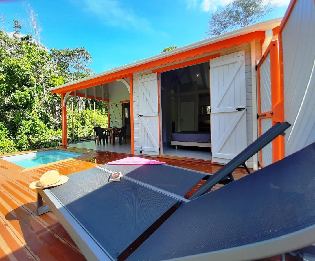 Caraibes Cottages Corail Piscine Privee A 900M De La Plage De Grande Anse Deshaies Exterior foto