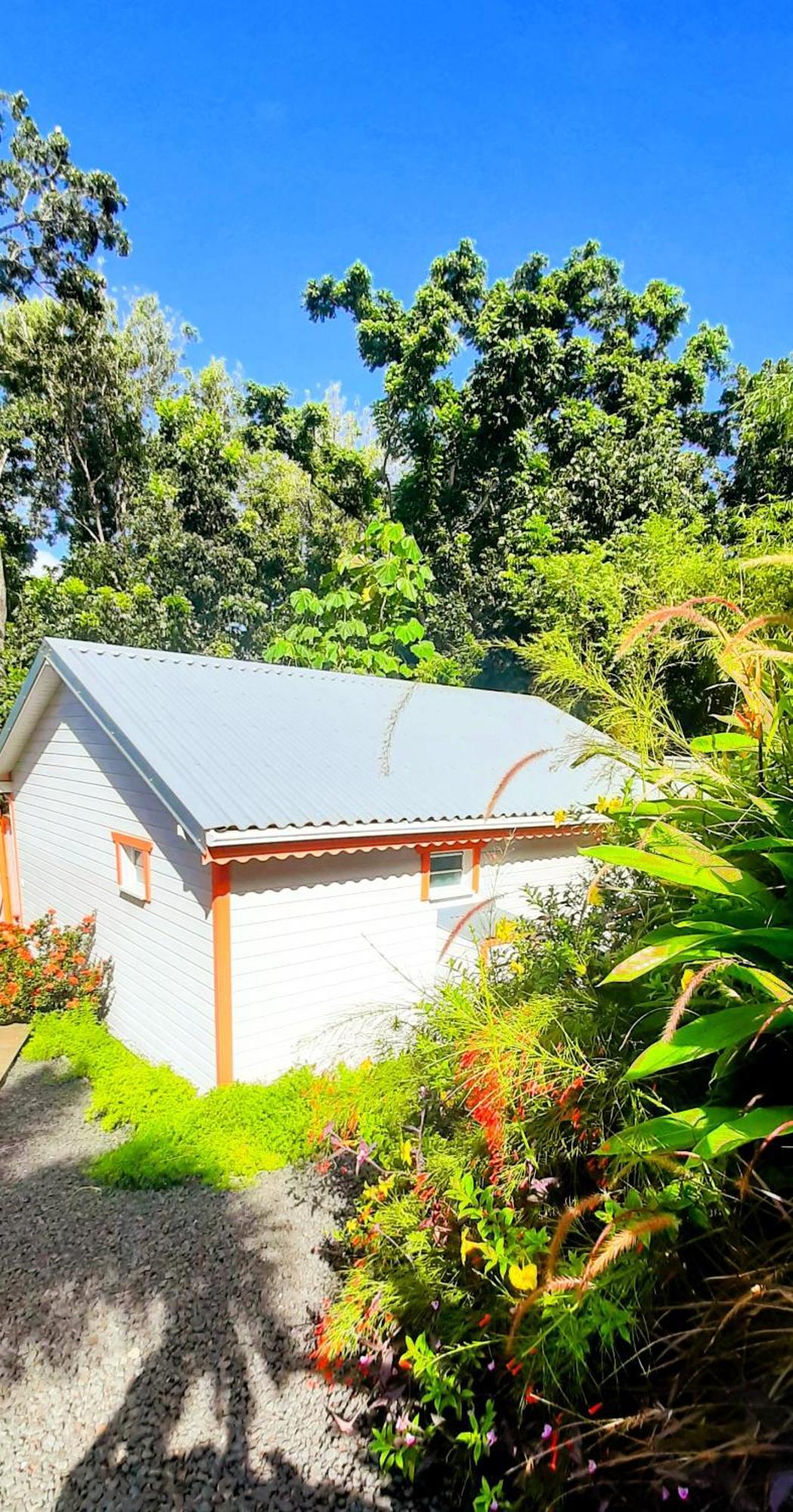 Caraibes Cottages Corail Piscine Privee A 900M De La Plage De Grande Anse Deshaies Exterior foto