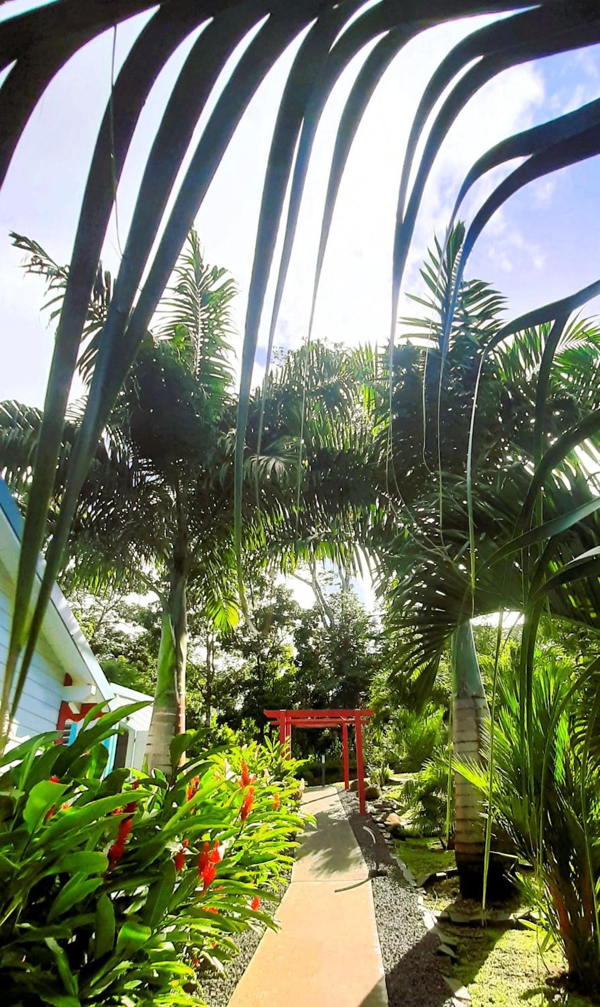 Caraibes Cottages Corail Piscine Privee A 900M De La Plage De Grande Anse Deshaies Exterior foto
