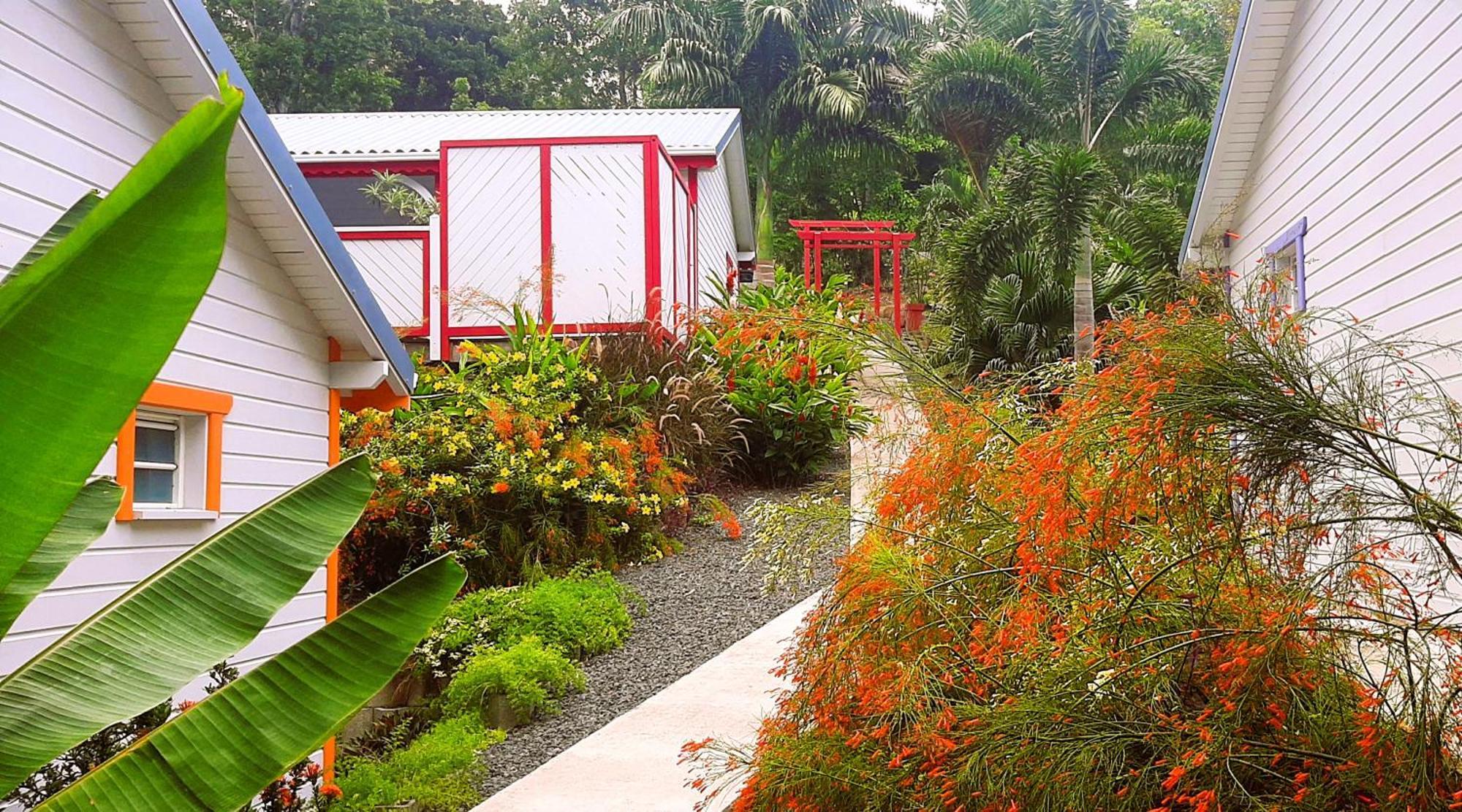 Caraibes Cottages Corail Piscine Privee A 900M De La Plage De Grande Anse Deshaies Exterior foto
