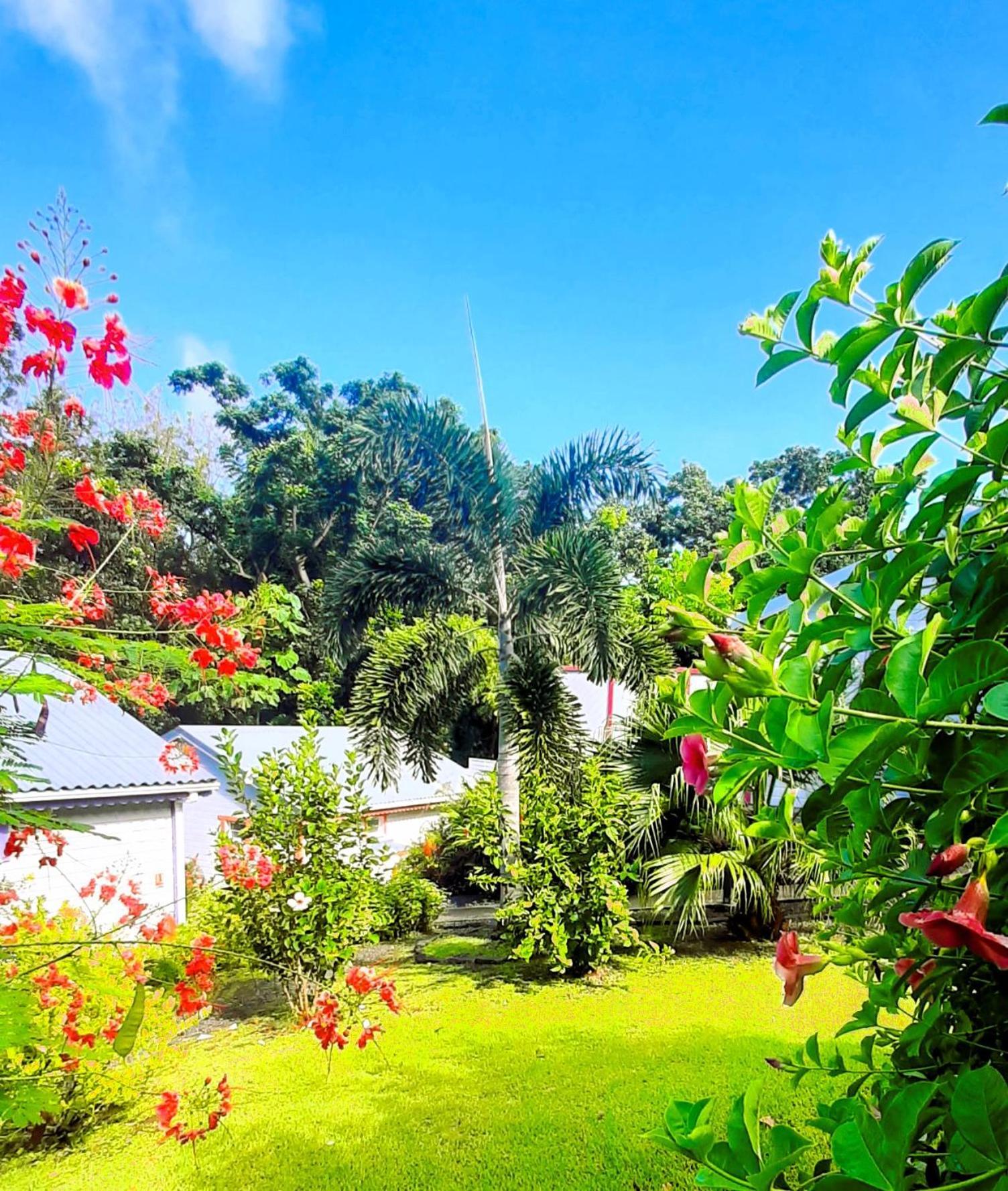 Caraibes Cottages Corail Piscine Privee A 900M De La Plage De Grande Anse Deshaies Exterior foto